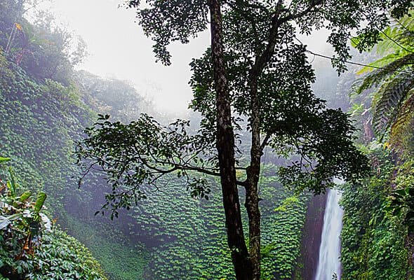 img-07-free-img.jpg Img 07 Free Img